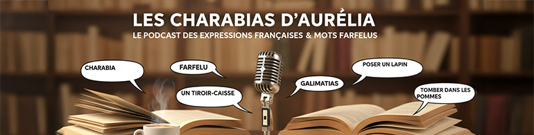 banniere charabia