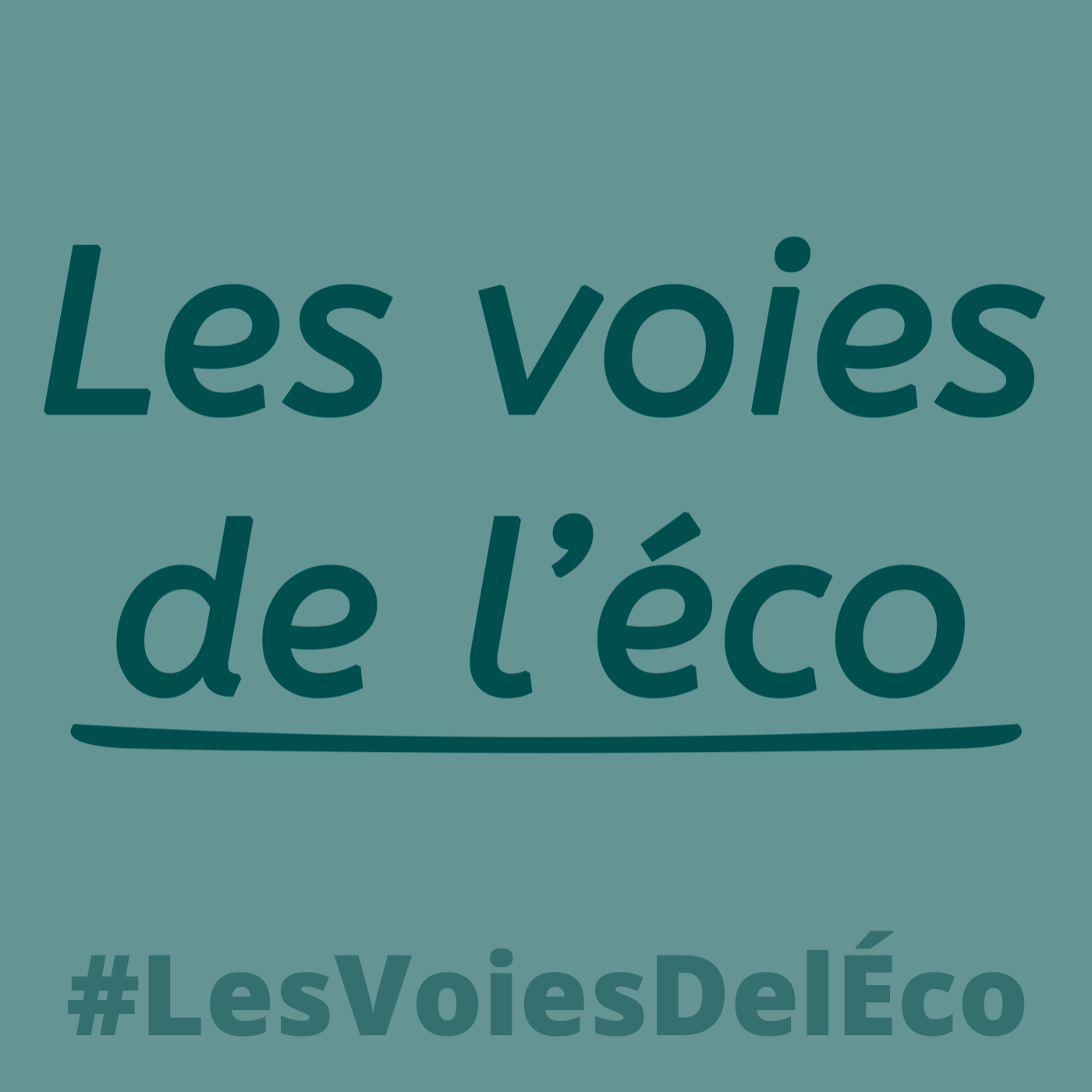 Il était une fois, le pilote de l'émission Les voies de l'éco le magazine des entrepreneurs de l&#039;anjou Il était une fois, le pilote de l'émission Les voies de l'éco