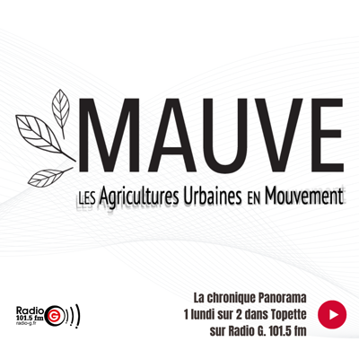 mauve agriculture urbaine Panorama - Charline