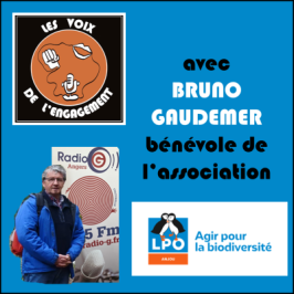 Les voix de l'engagement du 22 05 2024