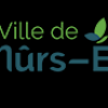 EJ de Mûrs-Érigné - Festival Ça Chauffe