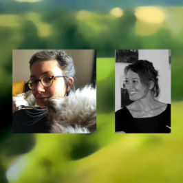 Entre les pages, l'univers des livres en Anjou. Entre les pages du 07 05 2025
