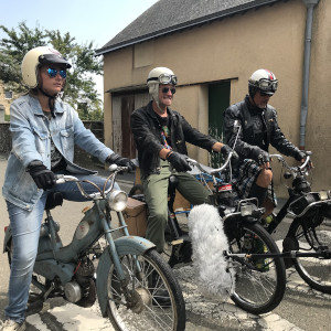 Solex dans les près Bouger en Mayenne Solex dans les pr&egrave;s