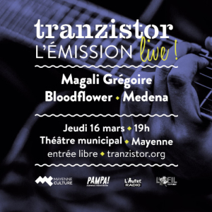 Tranzistor Tranzistor du 25 03 2023
