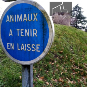 Pass'moi l'thème Pass'moi l'th&egrave;me du 18 02 2022